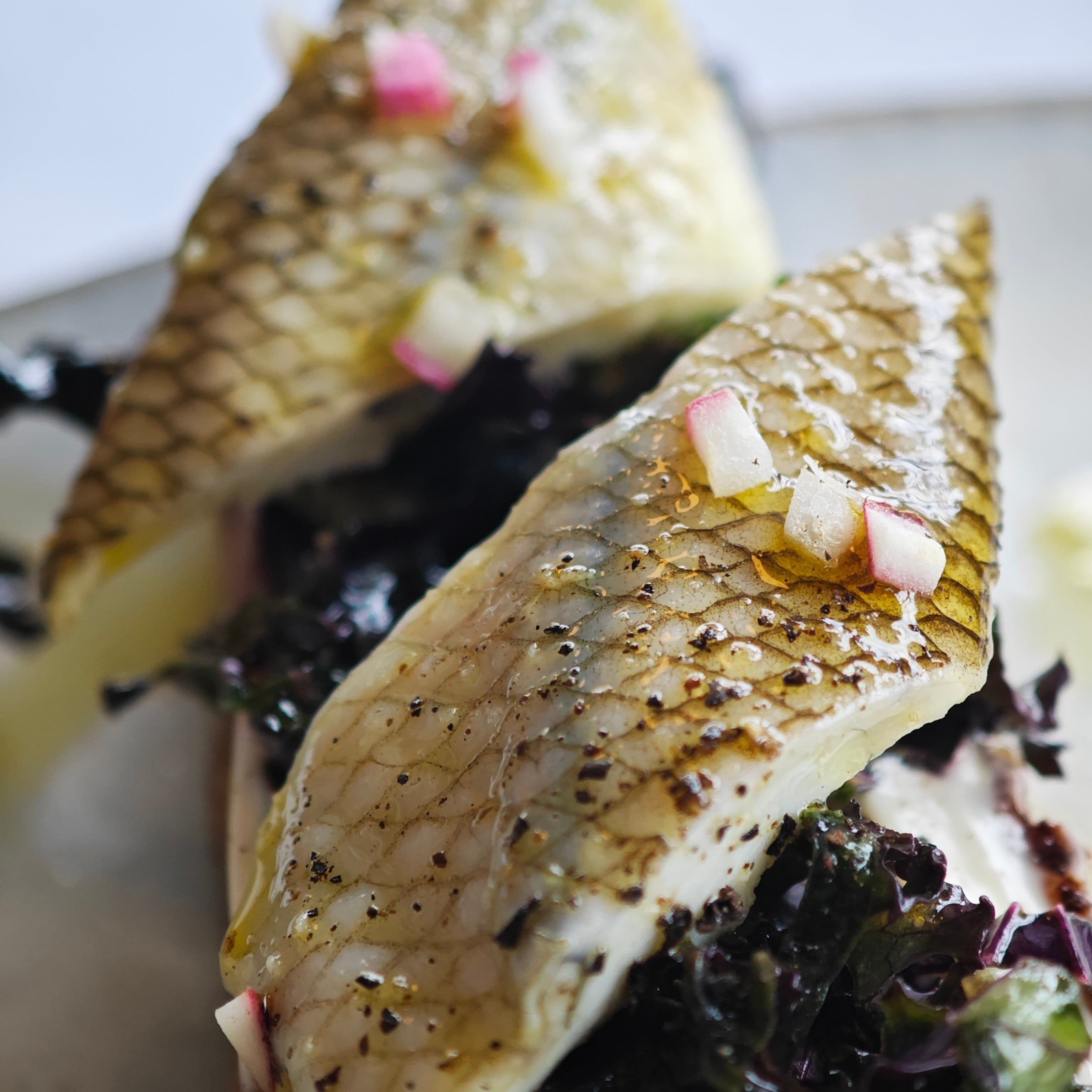 Picture of the author