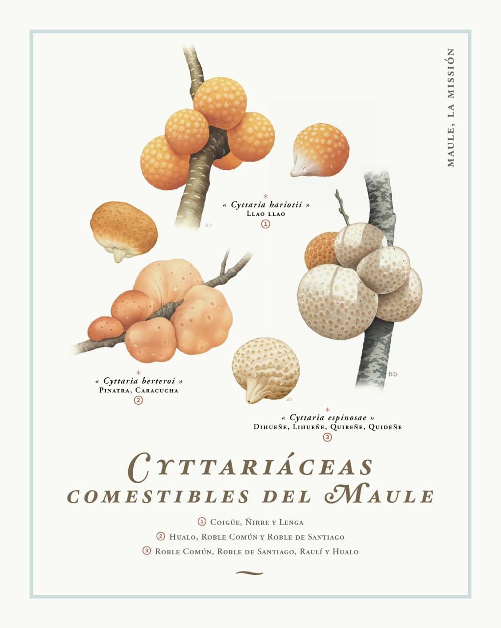 Picture of the author