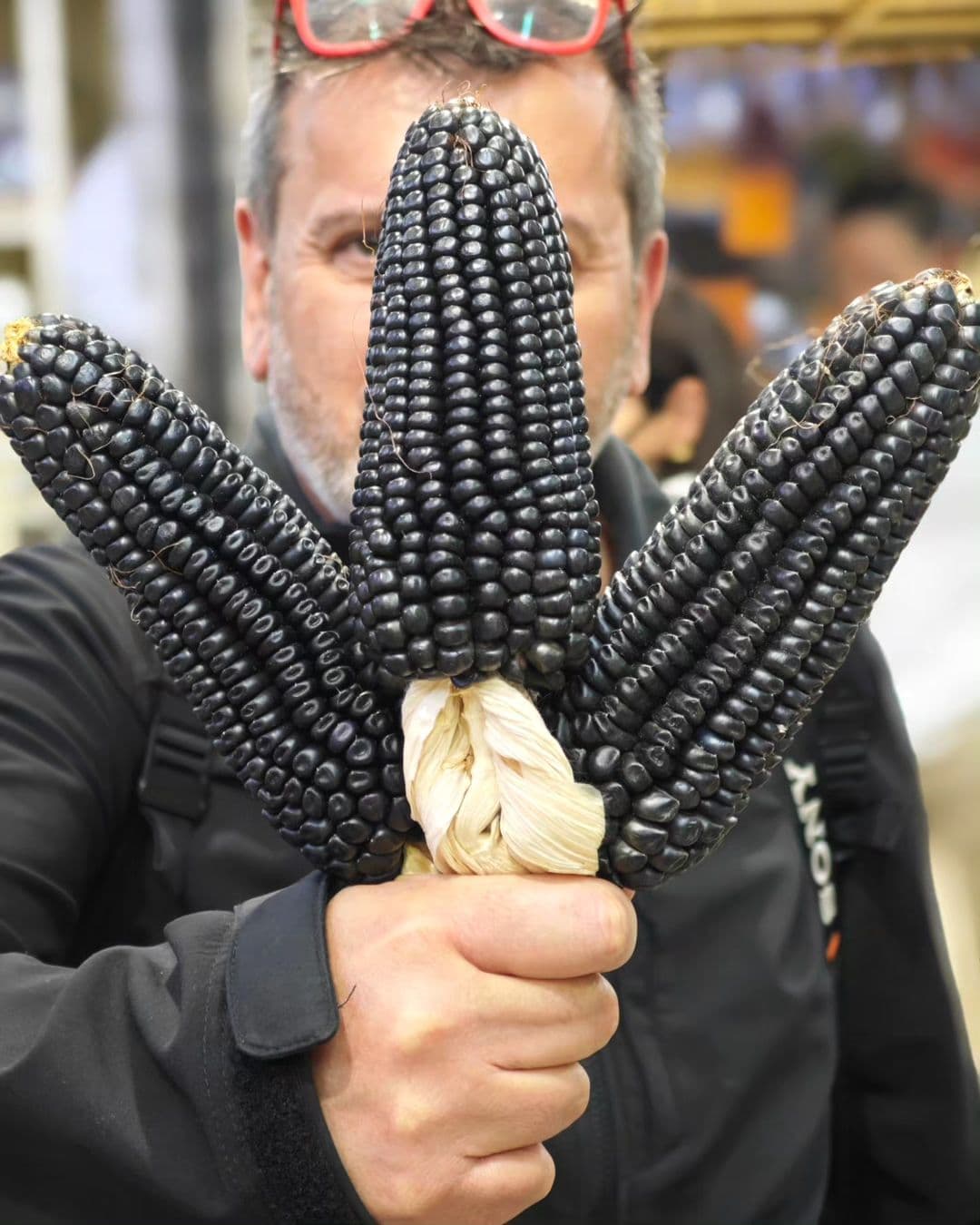 Picture of the author