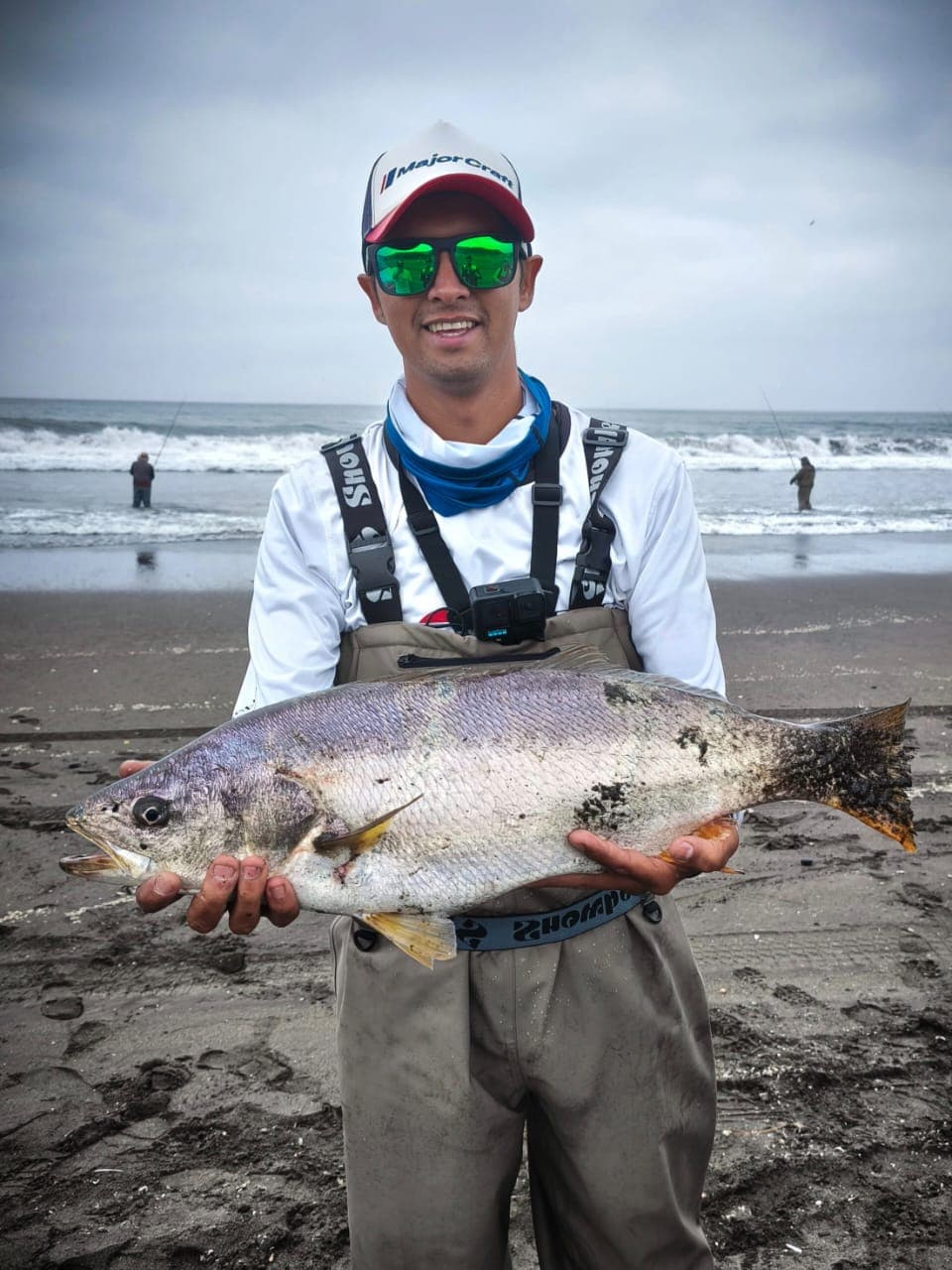 Picture of the author