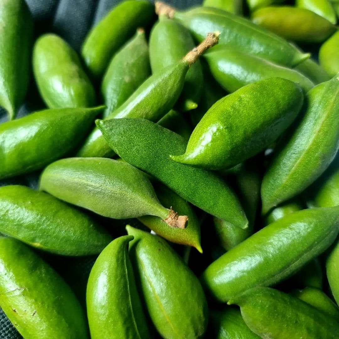 Picture of the author