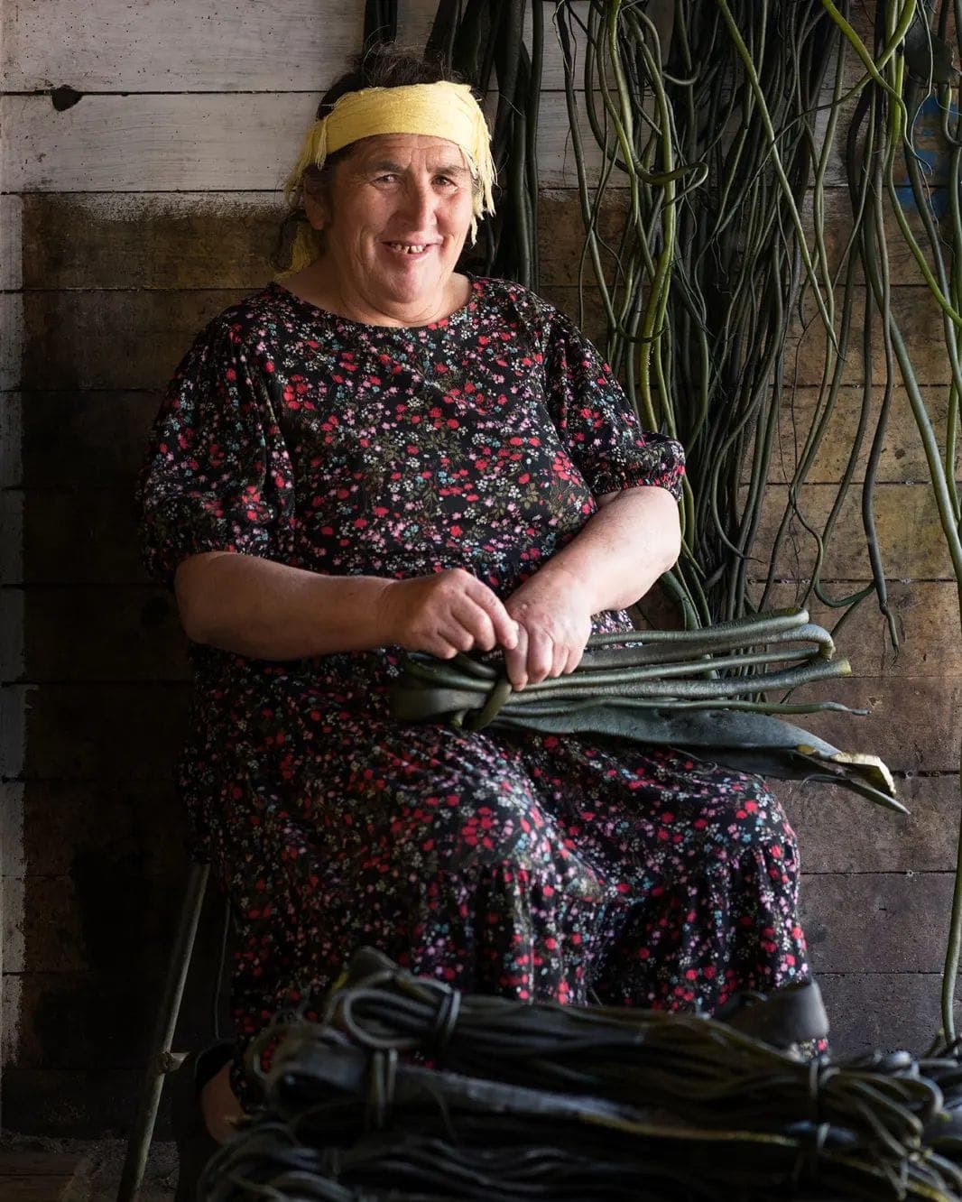 Picture of the author