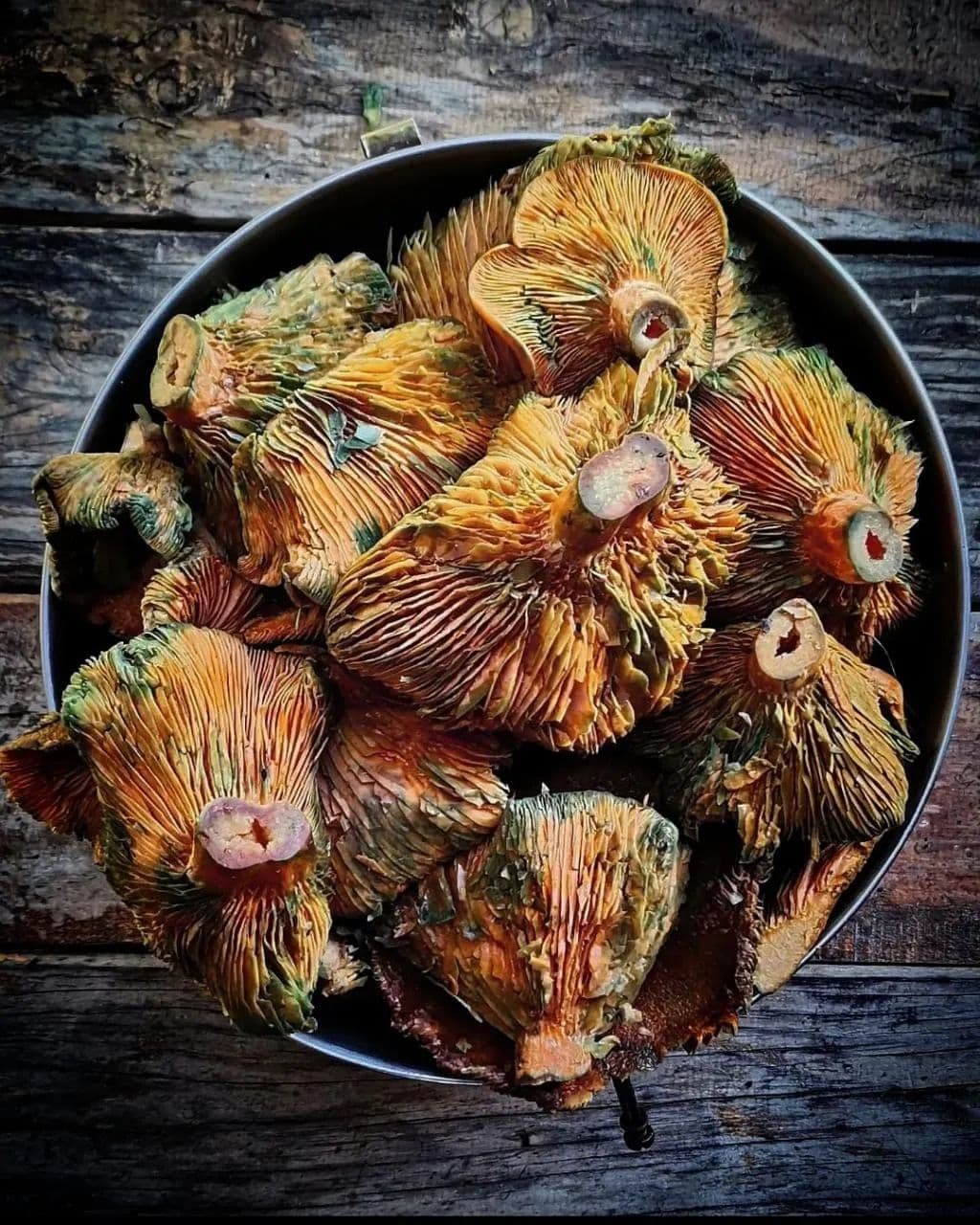 Picture of the author