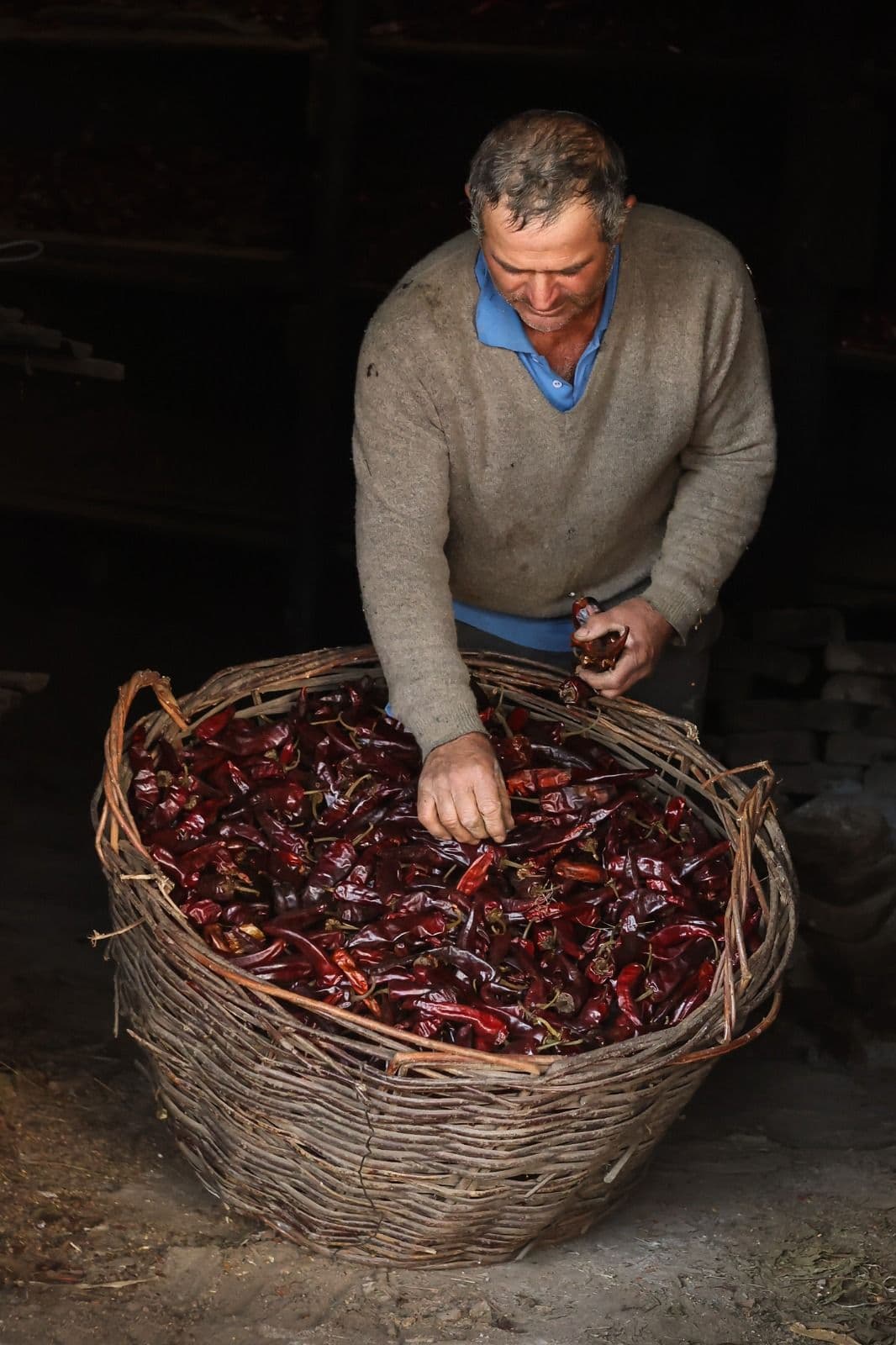 Picture of the author