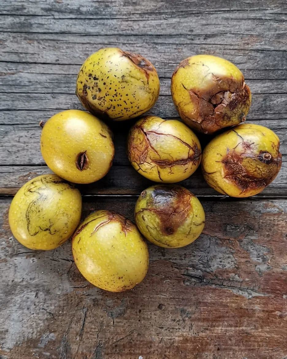 Picture of the author