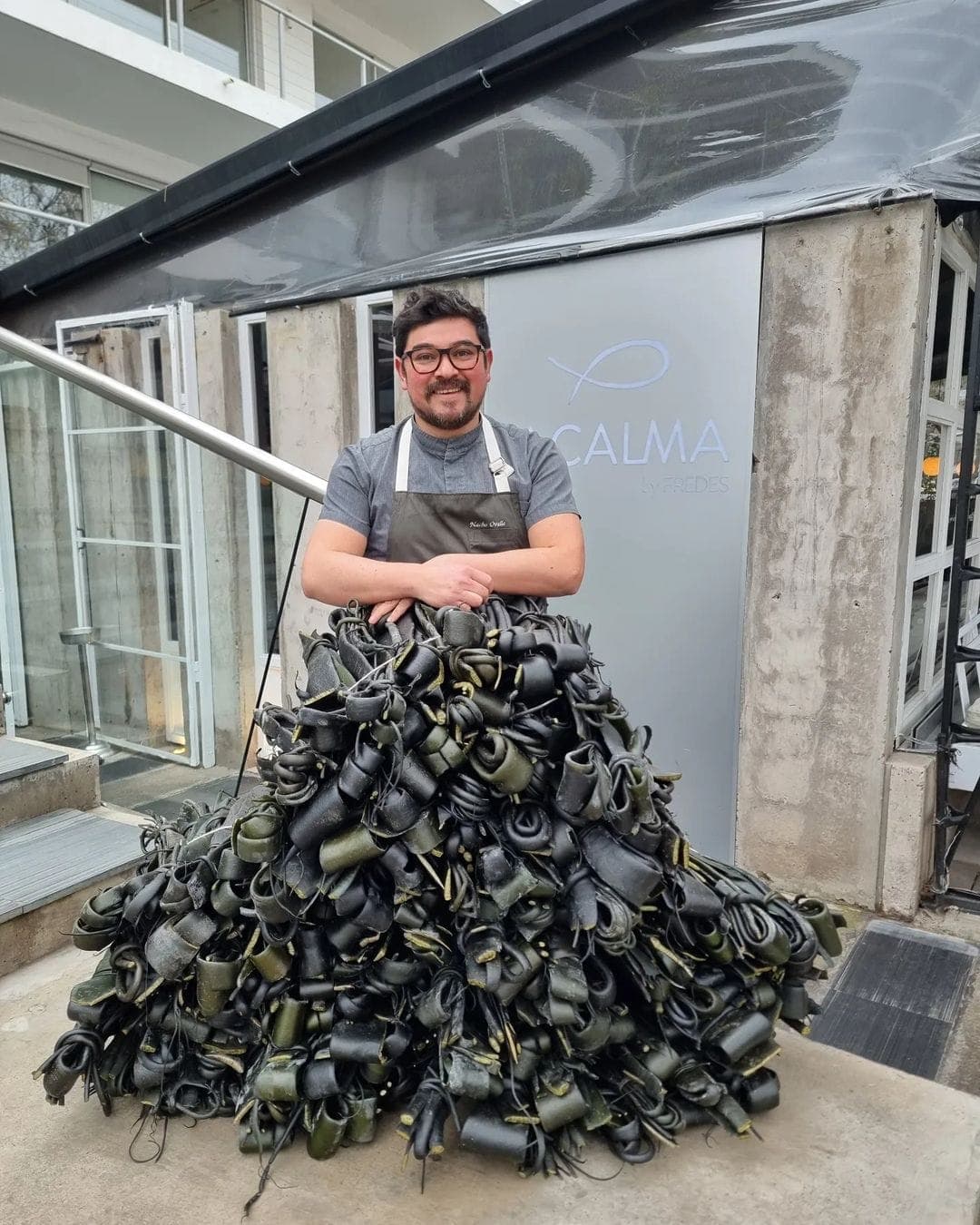 Picture of the author