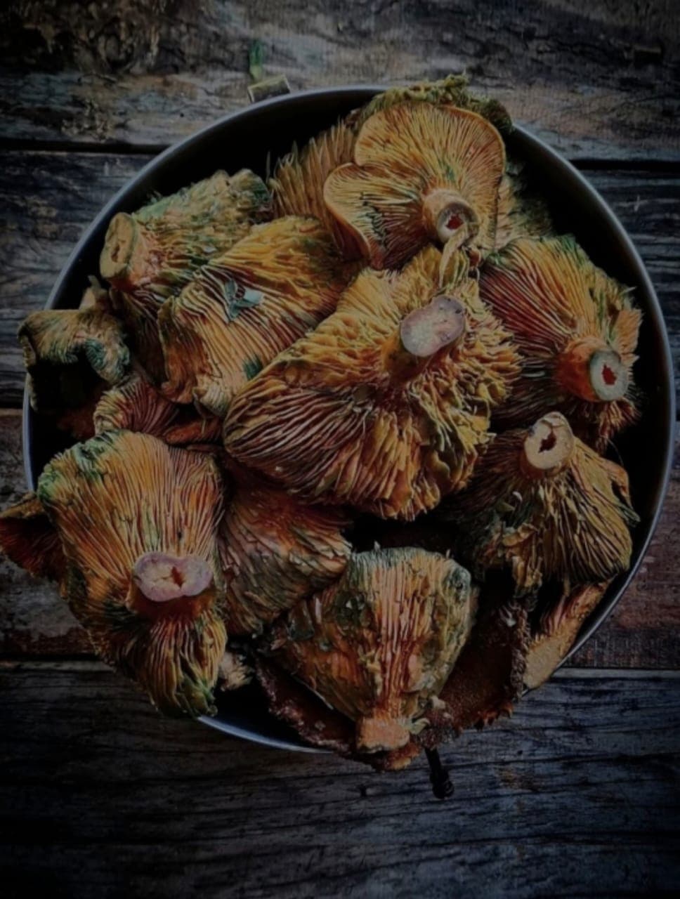 Picture of the author